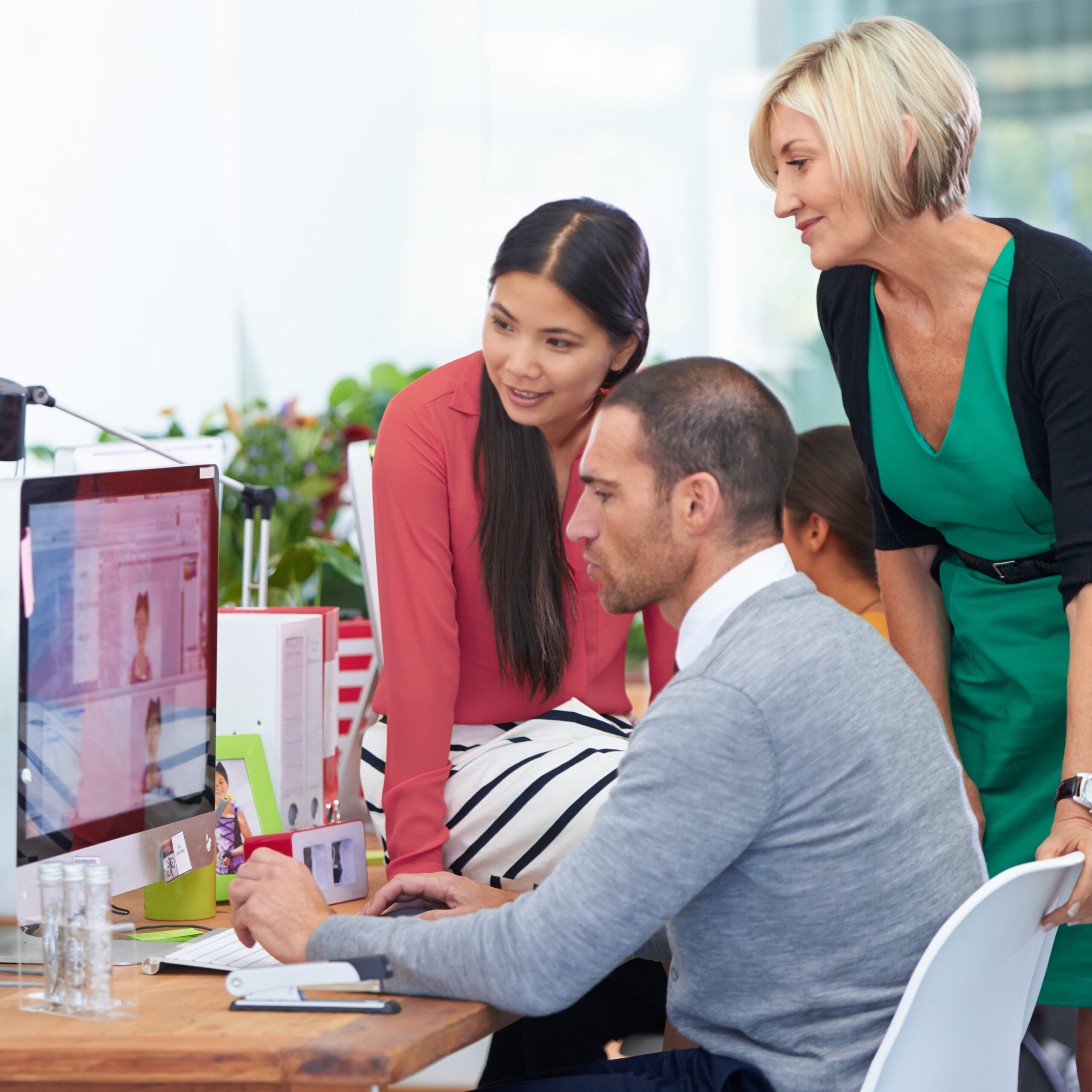 Build, QA & Launch